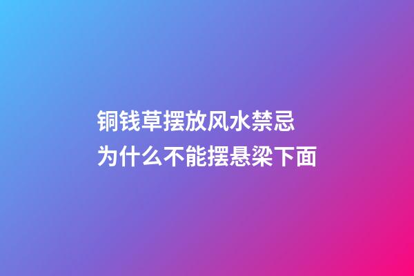 铜钱草摆放风水禁忌 为什么不能摆悬梁下面